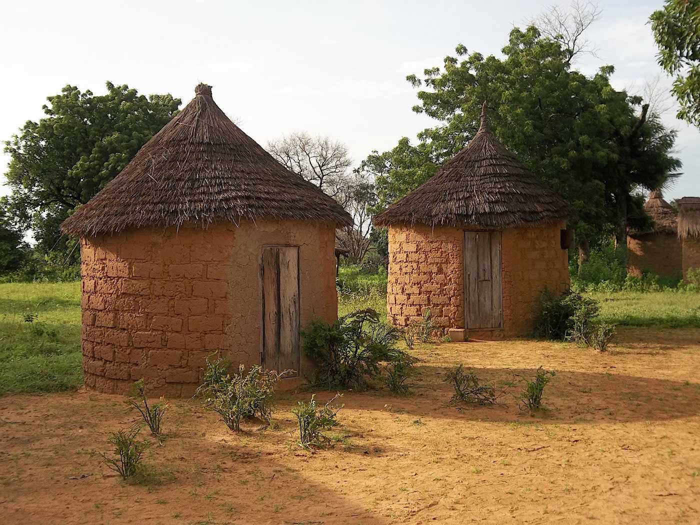 Campement de Niansogoni